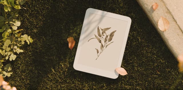 Creating Daylight | The Shadows